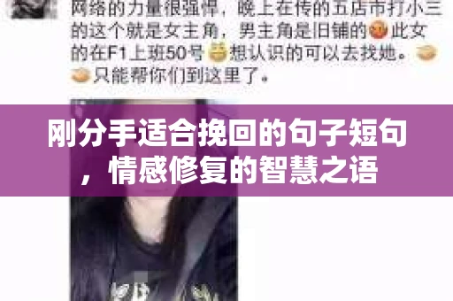 刚分手适合挽回的句子短句，情感修复的智慧之语