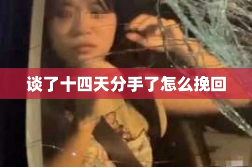 谈了十四天分手了怎么挽回