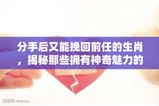 分手后又能挽回前任的生肖，揭秘那些拥有神奇魅力的生肖特质