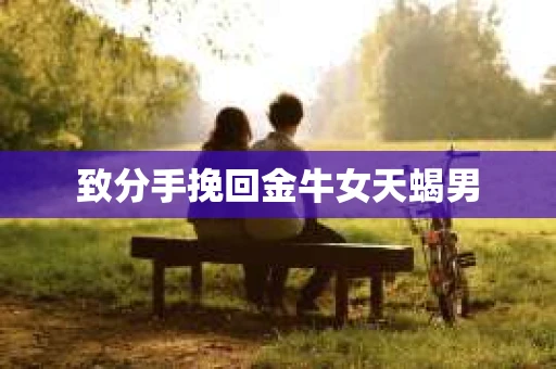 致分手挽回金牛女天蝎男