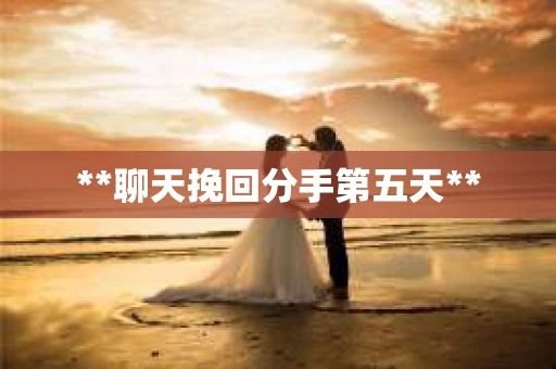 **聊天挽回分手第五天**