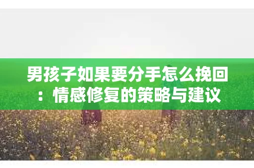 男孩子如果要分手怎么挽回：情感修复的策略与建议