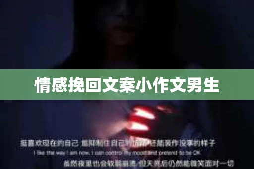 情感挽回文案小作文男生