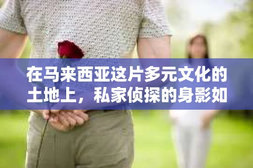 在马来西亚这片多元文化的土地上，私家侦探的身影如同城市中的隐秘侦探，他们穿梭在繁忙的都市，用敏锐的洞察力和专业的技能，揭开一个个谜团。今天，就让我们一起来了解一下马拉西亚私家侦探的故事。