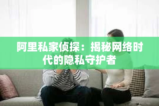 阿里私家侦探：揭秘网络时代的隐私守护者