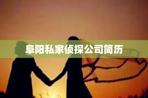 阜阳私家侦探公司简历