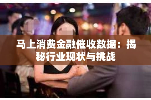 马上消费金融催收数据：揭秘行业现状与挑战
