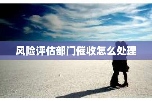 风险评估部门催收怎么处理
