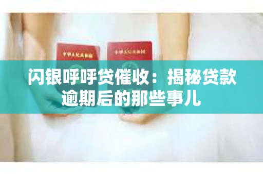 闪银呼呼贷催收：揭秘贷款逾期后的那些事儿