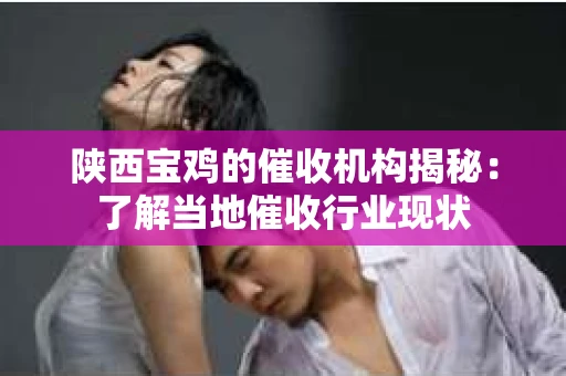 陕西宝鸡的催收机构揭秘：了解当地催收行业现状