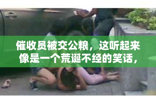 催收员被交公粮，这听起来像是一个荒诞不经的笑话，但事实上，这背后却隐藏着一段真实的故事。在我国，公粮制度曾经是农民生活的重要组成部分，而催收员，这个看似与农业无关的职业，却因为公粮问题，与农民产生了交集。今天，就让我们一起来揭开这个话题的神秘面纱。