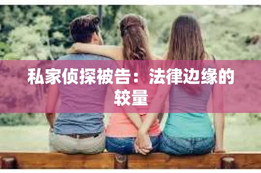 私家侦探被告：法律边缘的较量