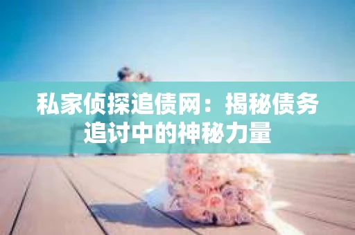 私家侦探追债网：揭秘债务追讨中的神秘力量