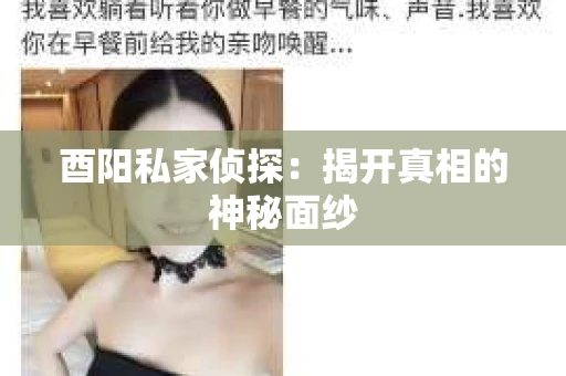 酉阳私家侦探：揭开真相的神秘面纱