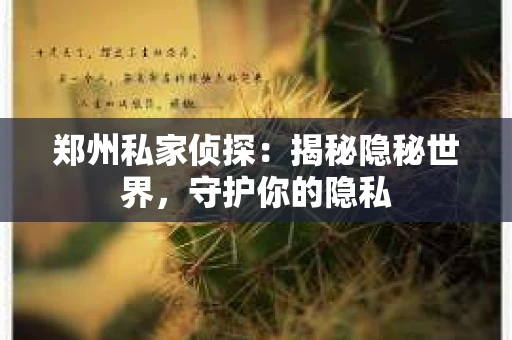 郑州私家侦探：揭秘隐秘世界，守护你的隐私