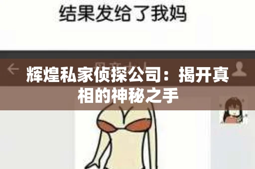 辉煌私家侦探公司：揭开真相的神秘之手