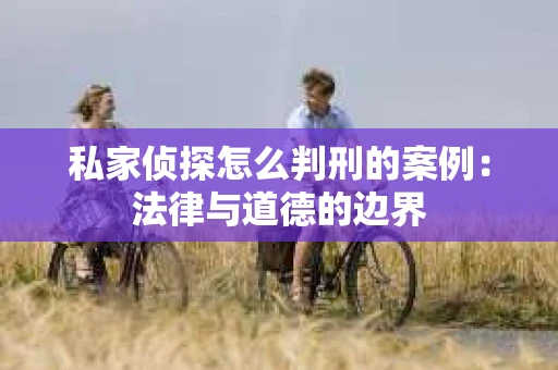 私家侦探怎么判刑的案例：法律与道德的边界