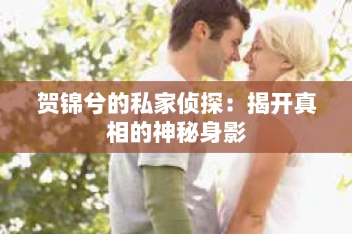 贺锦兮的私家侦探：揭开真相的神秘身影