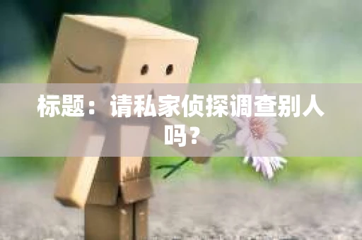 标题：请私家侦探调查别人吗？