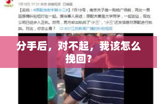 分手后，对不起，我该怎么挽回？