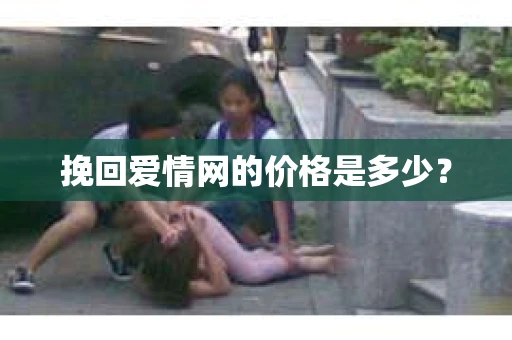 挽回爱情网的价格是多少？