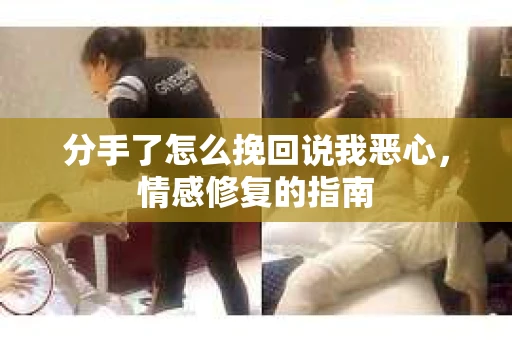 分手了怎么挽回说我恶心，情感修复的指南